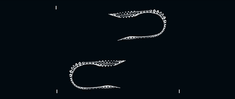 adidas,Futurecraft,Climacool  除了“性感”，你还能想到何种词语来形容它？