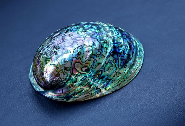 Nike,Air Foamposite One,575420  鲍鱼实物亮相!传言 Foamposite One “Abalone” 全明星周末发售 Nike,Air Foamposite One,575420  鲍鱼实物亮相!传言 Foamposite One “Abalone” 全明星周末发售